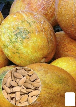 На развес Дыня "Амулет" Agro-Market цена за 6г (22390)