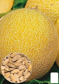 На развес Дыня "Казачка" Agro-Market цена за 6г (22399)