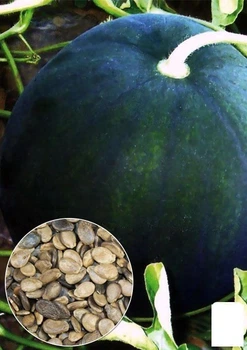 На развес Арбуз "Огонек" Agro-Market цена за 6г (22387)
