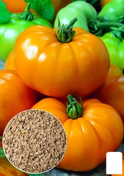 На вагу Томат "Бізон жовтий" Agro-Market ціна за 1г (86044)