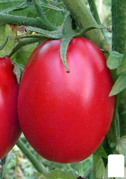 Томат "Де-барао царский розовый" (в банке) Agro-Market 3г (44899)