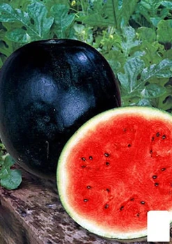Арбуз "Ультраранний" (в банке) Agro-Market 15г (105632)