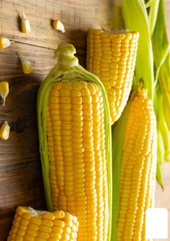 Кукурудза "Потрійна насолода" (у банку) Agro-Market 100г (52432)