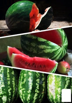 На развес Арбуз "Смесь лучших популярных сортов" Agro-Market цена за 5г (45530)