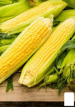 Насіння Кукурудза "Бондюель" (У банку) ТМ "Весна Органік" 30г (105636)