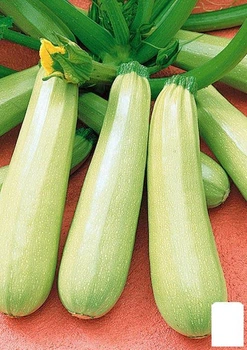 На развес Кабачок "Анна" Agro-Market цена за 3г (45887)