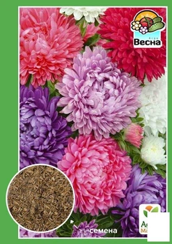 Астра "Пионовидная" (Большой пакет) Agro-Market 0,5г (32810)