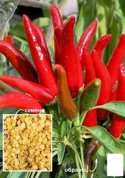 На развес Перец острый "Карабас Барабас" Agro-Market цена за 2г (49428)