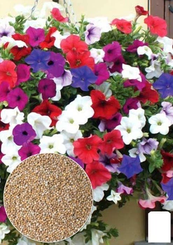 На развес Петуния ампельная Agro-Market цена за 1,5г (13281)