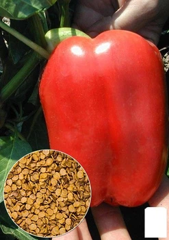 На развес Перец "Дивосвит красный" Agro-Market цена за 1г (22044)