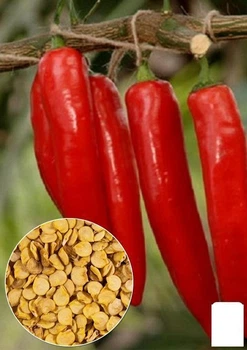 На развес Перец "Украинский горький" Agro-Market цена за 2г (13344)