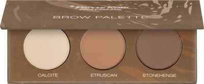 Палетка тіней для брів Pierre Rene Professional Brow Palette 02 - Dark Brown (3.9 г) (899732-970529-2)