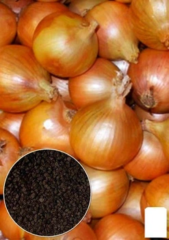 На развес Лук "Задира" Agro-Market цена за 5г (49573)