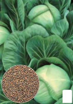 На развес Капуста "Ярославна" Agro-Market цена за 6г (35753)