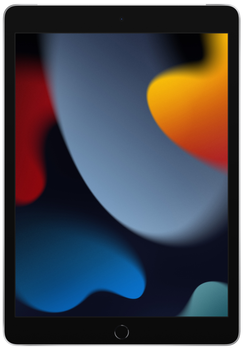 Tablet Apple iPad 10.2" 2021 Wi-Fi 64GB Srebrny (MK2L3)