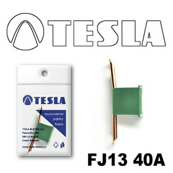 Предохранитель TESLA FJ13 "CARTRIDGE" 40A (TS FJ13 40A)