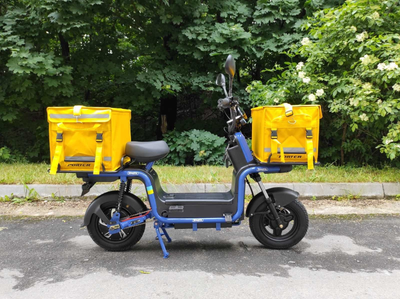 Електровелосипед SPARTA PORTER синій (800W 60V-22Ah)