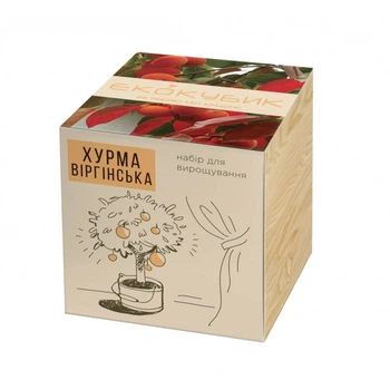 Набор для выращивания - Хурма (EK0000024)