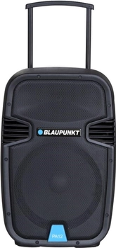 Акустическая система Blaupunkt PA12 650 W Black (PA12)