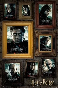 Плакат Harry Potter - Portrait (Постер) (5028486488797)