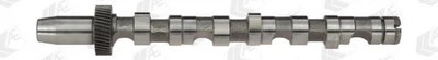 Распредвал AE CAM701 Audi A6, A8, A4, Allroad; Volkswagen Passat; Skoda Superb 059109021BQ, 059109021L, 059109021P