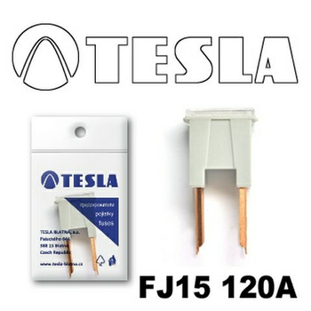 Запобіжник TESLA FJ15 "CARTRIDGE" 120A (TS FJ15 120A)