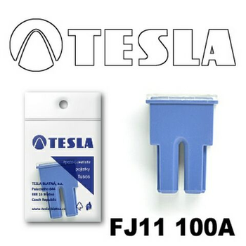 Запобіжник TESLA FJ11 "CARTRIDGE" 100A (TS FJ11 100A)