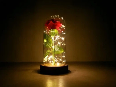 Роза в колбе +10 до +30° С. с LED подсветкой&nbsp;Розовый (ICL44)