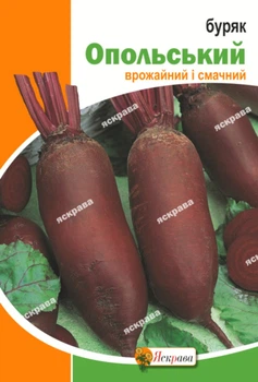 Семена Яскрава Свекла Опольская 20 г (400)