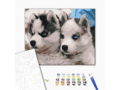 Картина по номерам Щенки хаски, Brushme (40х50 см), BS3797