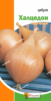 Насіння Яскрава Цибуля Халцедон 1 г (296)