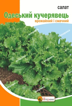Семена Яскрава Салат Одесский кудрявец 10 г (11873)