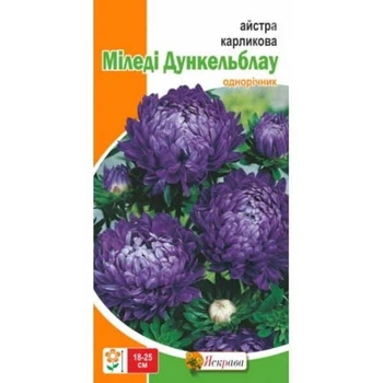 Семена Астра карликовая Миледи Дункельблау Яскрава 0.3 г