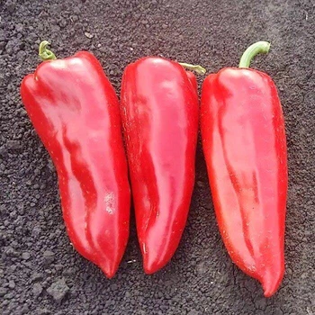 Семена перец сладкий Портека F1 Leda Agro 8 шт