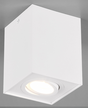 Потолочный светильник Trio BISCUIT 35W lm (613000131)