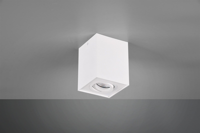 Потолочный светильник Trio BISCUIT 35W lm (613000131)