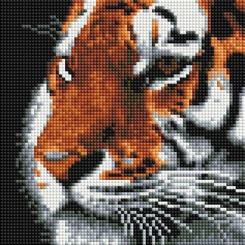Алмазна вишивка ColorArt 20x20 Тигр DD1224
