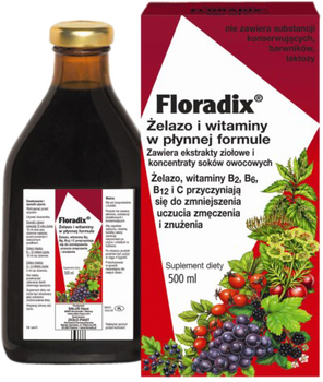 Suplement diety Floradix Żelazo I Witaminy 500 ml (4004148047503)