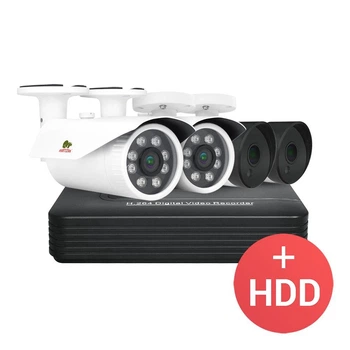 2.0 MP Набір для вулиці PRO AHD-41 4xCAM + 1xDVR + HDD