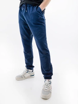 Мужские Штаны Arena ICONS PANT Синий L (7d005607-700 L)