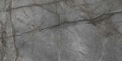 Плитка Bien Ceramica Root 60x120 silver poler rect