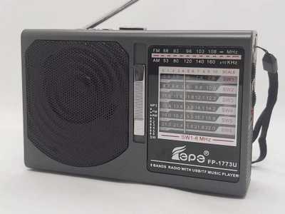 Портативный радиоприемник колонка с фонарем FP 1773U (USB FM)