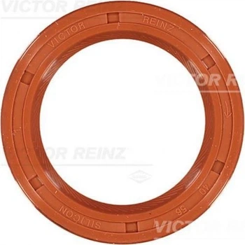 Уплотняющее кольцо REINZ 81-21087-20 VICTOR REINZ (812108720)