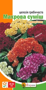 Семена Яскрава Целозия гребенчатая Махровая смесь 0.3 г (381)