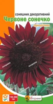 Насіння Яскрава Соняшник декоративний Червоне Сонечко 1.0 г (22583)