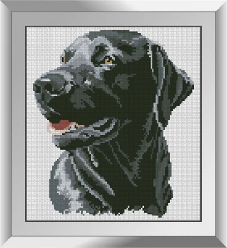 Алмазна мозаїка "Щасливий пес" Dream Art в коробці 31248