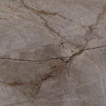 Плитка Bien Ceramica Root 100x100 ash poler rect