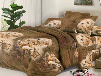 Евро комплект постельного белья Vital - Textile Бязь 3D Premium 200х220 см (BPe-270)