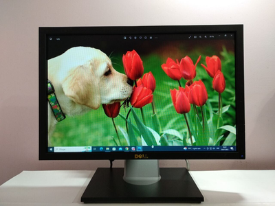 Монитор Dell Professional P1911b / 19" (1440x900) TN / DVI, VGA, USB / VESA 100x100 б/у