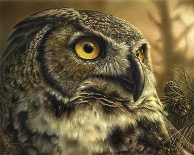 Алмазна мозаїка ColorArt 40x50 Сова SP110